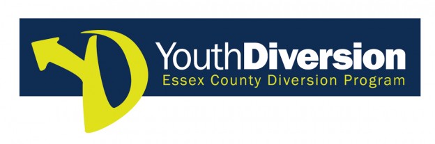 YouthDiversion-logo-REVERSE